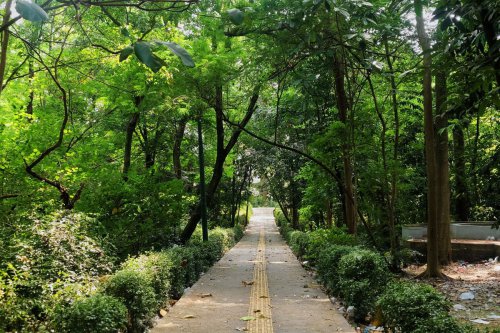 Lokasi, Jam Buka, dan Harga Tiket Hutan Kota Srengseng, Wisata Hutan di Jakarta Barat