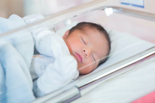 Angka Kelahiran Turun, Pasutri Kini Pilih Fokus ke Kualitas Hidup Anak