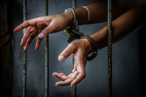 Polda Bali Catat 309 WNA Terlibat Kasus Kriminal Sepanjang 2025, Konsulat Asing Dilibatkan