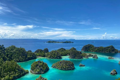 Industri Otomotif dan Kontroversi Pertambangan Nikel di Raja Ampat