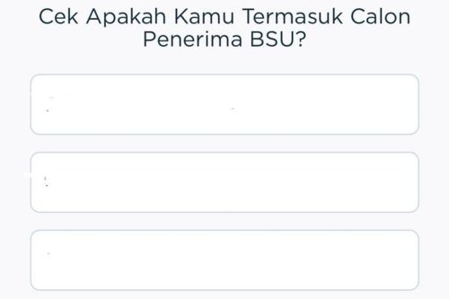 BSU Cair! Cek Status Penerima BSU 2025 via Aplikasi JMO