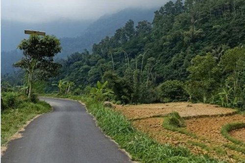 Cara Berkendara Aman di Jalan Tanpa Marka