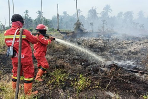 BMKG Catat 251 Titik Panas di Riau, Karhutla Meluas ke 10 Kabupaten/Kota