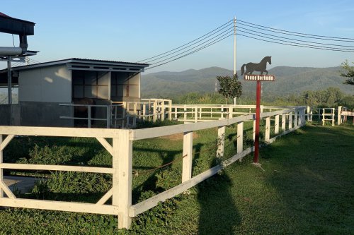 Panduan Wisata ke Sirukam Dairy Farm: Harga Tiket hingga Aktivitas