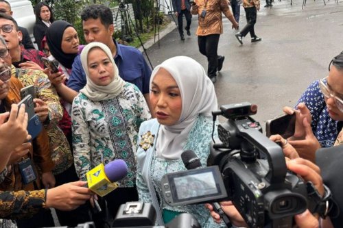 Dari NU hingga PKB, Begini Jejak Karier Farida Farichah Sebelum Jadi Wamenkop