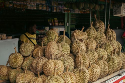 Menikmati Durian Kampung Cengal, Harta Karun Tersembunyi Bogor Bagian Barat