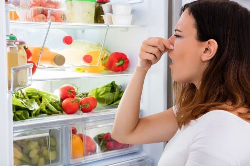 Telur Ayam dan Deretan Makanan yang Tidak Boleh Disimpan di Freezer