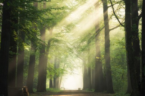 Pandawara, beli hutan, membeli hutan, pandawara, doug tompkins, Rencana Beli Hutan Pandawara Didukung Selebritas, Mimpi yang Realistis?