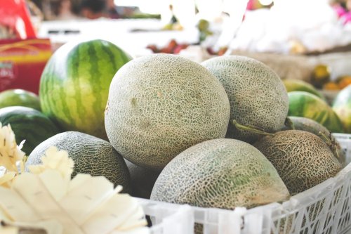 Lagi Musim dan Banyak Dijual, 5 Cara Pilih Melon yang Manis Tanpa Kupas