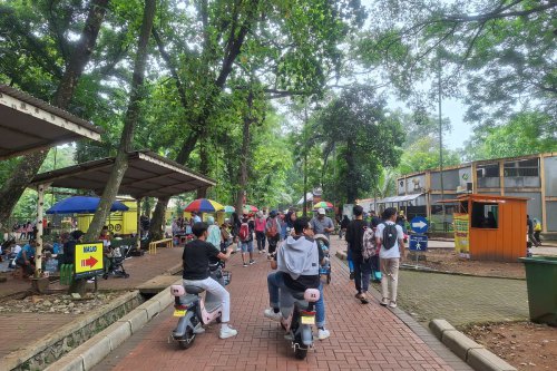 Kebun Binatang Ragunan Akan Buka Wisata Malam, Ini Alasannya