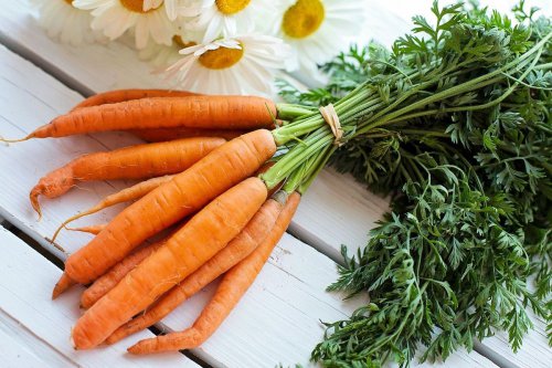 Top 5+ Alasan Harus Sering Makan Wortel, Sayuran yang Kaya Manfaat