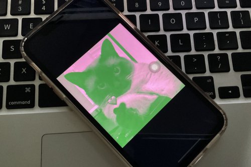 Viral Foto Profil Pink Hijau di Medsos, Ini Arti dan Cara Membuatnya