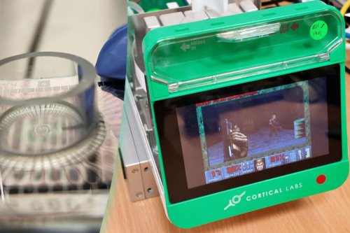 200.000 Sel Otak Manusia Digabung ke Chip Komputer, Lalu Dilatih Main Game "Doom"