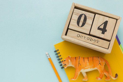 4 Oktober 2025 Hari Apa? Ini Daftar Peringatan Nasional dan Internasionalnya