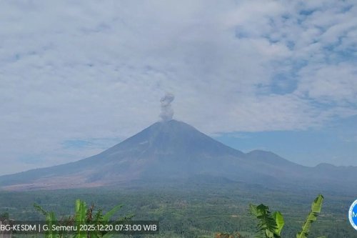 Gunung Semeru Erupsi 11 Kali, Kolom Abu Capai 1.100 Meter pada Sabtu