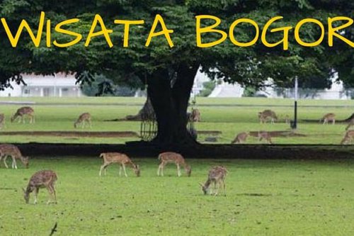 Rekomendasi 6 Wisata di Bogor yang Cocok untuk Bersantai dan Olahraga