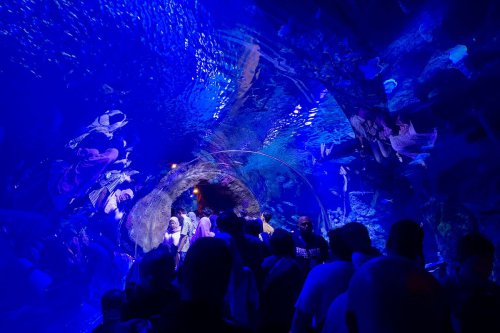 Top 8.000+ Orang Padati Oceanarium BXSea, Ini Tips ke Sana agar Tetap Seru