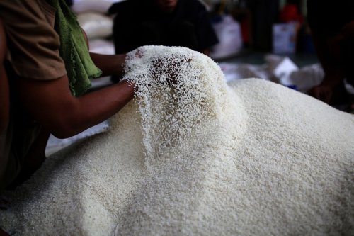 Mengenal Ciri Beras Layak Konsumsi, dari Bentuk Butir hingga Aroma