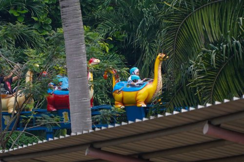 Taman Margasatwa Ragunan Tetap Buka 17 Agustus 2025, Ada Feeding Gratis
