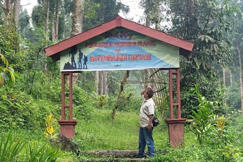 Pendakian Gunung Slamet via Baturraden Buka Lagi 10 Juni, Waspada Cuaca