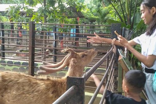 Top 7+ Tempat Wisata Gratis untuk Pemilik Nama Agus di Bulan Agustus 2025, TMII hingga BXSea