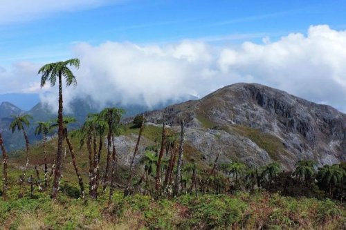 Pendaki Bogor Hilang Misterius di Gunung Binaiya Maluku, Pencarian Akan Libatkan Tokoh Agama dan Adat