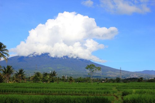 Penutupan Gunung Gede Pangrango Diperpanjang Sampai 13 April 2025