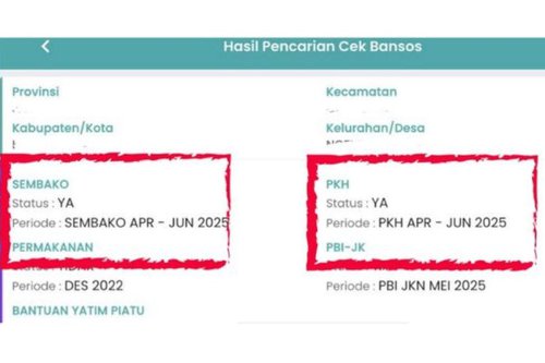 Cair Juli, Begini Cara Cek Bansos PKH dan BPNT Lewat HP dengan Mudah