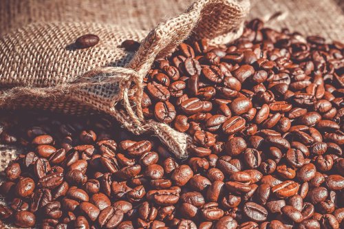 Simpan Kopi dalam Bentuk Biji agar Kesegarannya Tetap Terjaga