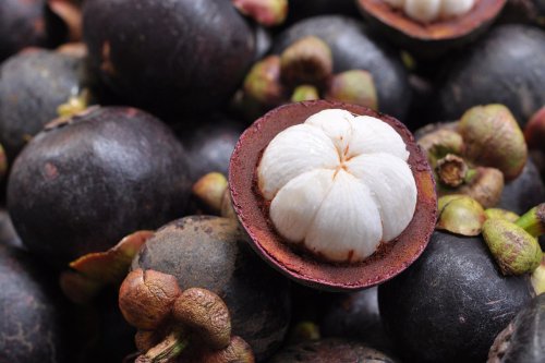 Top 11+ Manfaat Kesehatan Manggis, Buah Lezat yang Kaya Manfaat