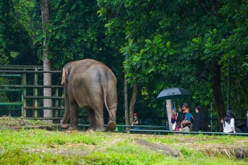 Libur Akhir Tahun, Pemerintah Imbau Wisatawan Cek Prakiraan Cuaca