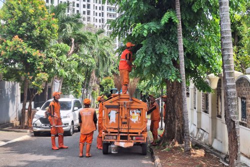 DPRD DKI Jakarta, pungutan liar, pungli, PPSU, Wakil Gubernur DKI Jakarta, Rano Karno, Pungli, pljp, Pelamar PPSU Diduga Dipalak Pungli oleh Oknum, Rano Karno Akui Masalah Sudah Lama Tercium