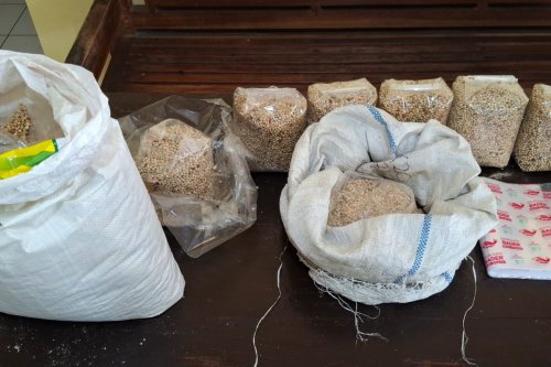 Polisi Tangkap Dua Pengedar Merica Oplosan di Wonosobo