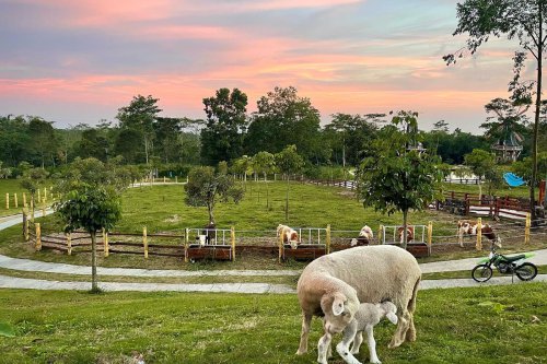 Jam Buka dan Lokasi The Lost World Castle Yogyakarta