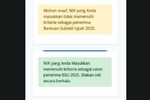 Penerima BSU 2025 Bisa Gugur Meski Lolos Verifikasi, Ini Cara Cek Ulang Validasi di bsu.kemnaker.go.id