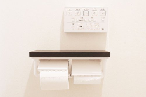 Toilet di Jepang Ternyata Canggih, Ini Gunanya Tombol Ajaib