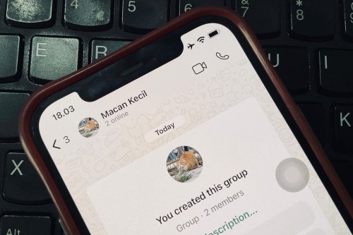 WhatsApp Grup kini Muncul Status Online, Begini Tampilannya