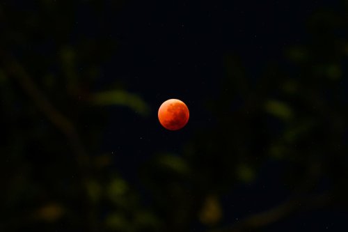 Jadwal Gerhana Bulan Total 3 Maret 2026, Bisa Sambil Buka Puasa