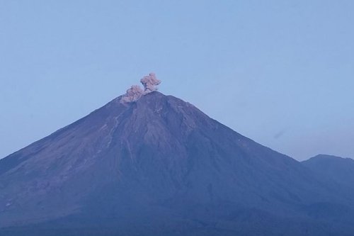 Gunung Semeru Erupsi Lagi, Tinggi Letusan Mencapai 600 Meter