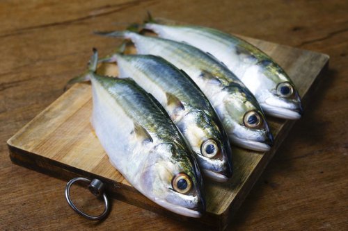 1. Ikan Kembung, 2. Ikan Lele, 3. Ikan Patin, 4. Ikan Teri Basah, 5. Ikan Tongkol, 6. Ikan Nila, 7. Ikan Mujair, Murah tapi Kaya Gizi, Ini 7 Ikan Pilihan untuk Menu Harian