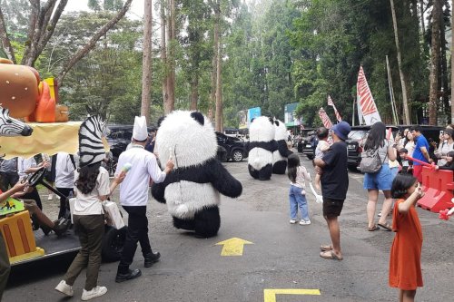 HUT Ke-80 RI, Taman Safari Bogor Gelar Parade Gajah dan Onta