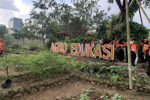 Belajar Bertani di Agro Edukasi Wisata Ragunan Jaksel, Ini Lokasi dan Cara Berkunjung