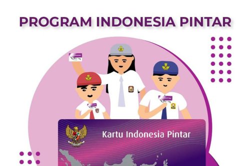 Cara Cek PIP Online lewat HP, Mudah dan Praktis