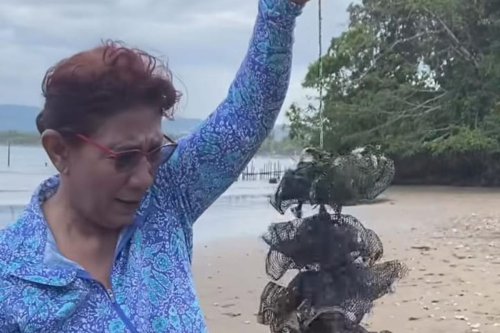 Bukan untuk Unpad, Jeje Wiradinata Jelaskan Soal Ucapan &ldquo;Bodoh&rdquo; Susi Pudjiastuti