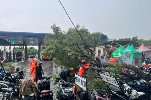 Prakiraan Cuaca Jawa Timur Besok 8 April 2026: Mayoritas Wilayah Diguyur Hujan Ringan