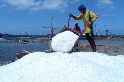 Mengapa Madura Dijuluki Pulau Garam?