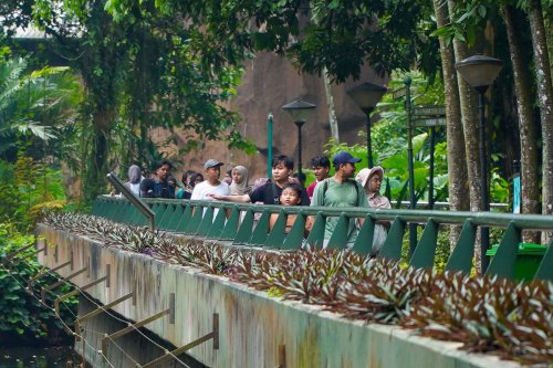 Malam Mingguan di Jakarta Kini Bisa ke Ragunan, Begini Caranya