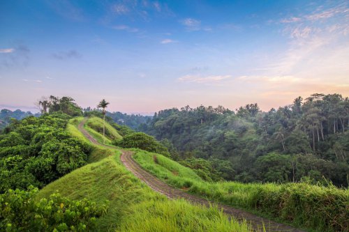 Top 6+ Jalur Mendaki dan Jalan Santai dengan Pemandangan Sawah di Kawasan Ubud