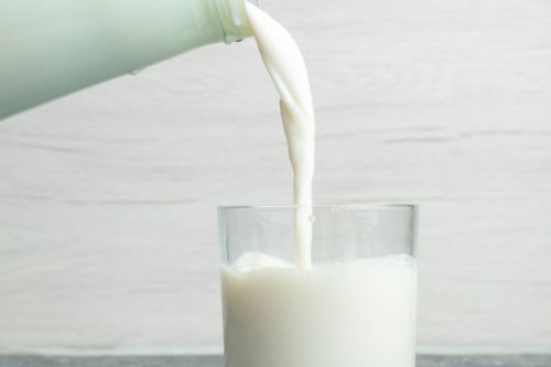 Top 5+ Makanan untuk Kesehatan Tulang, Rajin-rajinlah Mengonsumsinya