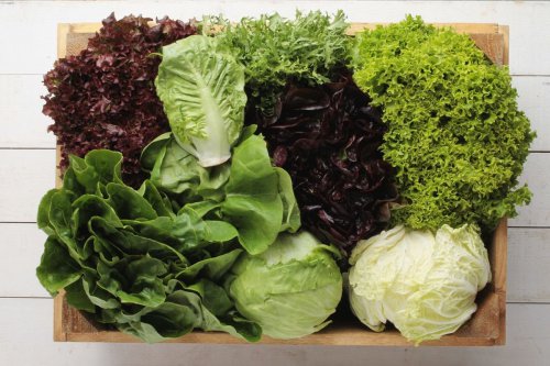 Banyak Makan Sayur Bantu Turunkan Berat Badan? Ini Kata Dokter
